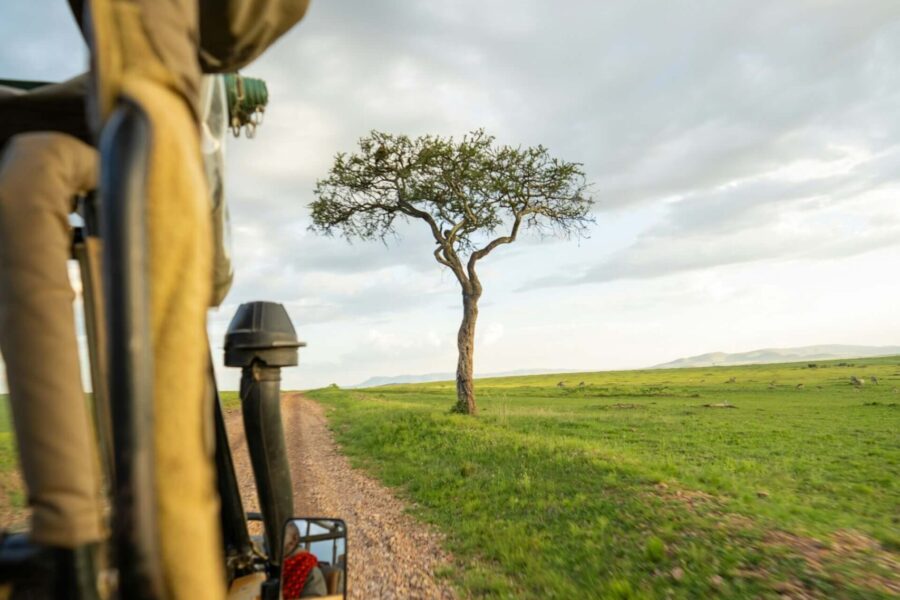 5 Days Ol Pejeta, Samburu & Aberdare Safari